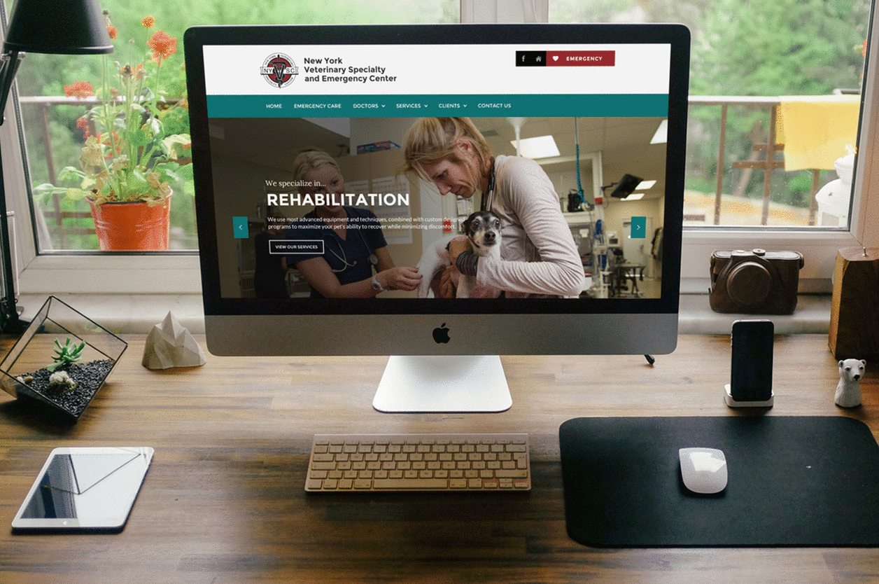 Images of NYVSC Website